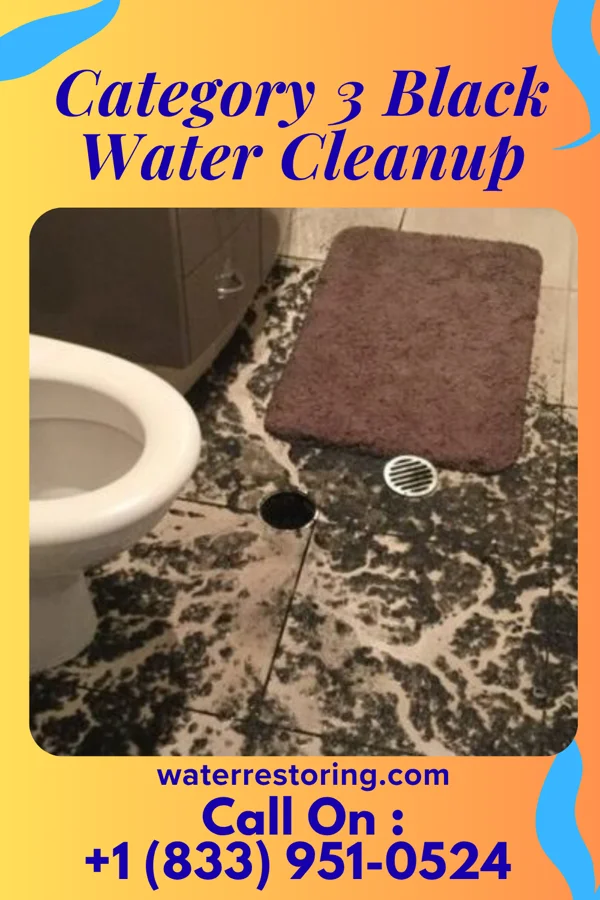 Category 3 Black Water Cleanup in Aberdeen, ID
