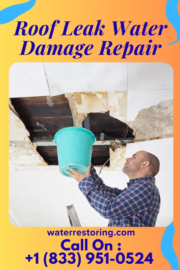 Roof Leak Water Damage Repair in Aberdeen, ID
